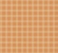 Architects Paper Art of Eden - Oranje - Geruit Behang - 390642 - thumbnail