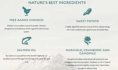 CANAGAN Light/Senior kip - droog kattenvoer - 1,5kg