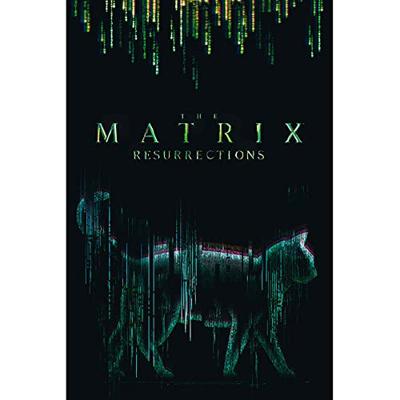 Poster The Matrix - Cat 61x91,5cm Poster The Matrix - Cat 61x91,5cm