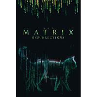 Poster The Matrix - Cat 61x91,5cm - thumbnail