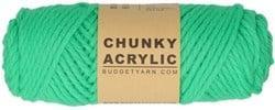 Budget Yarn Chunky Acrylic 086 Kleur: Peony Leaf