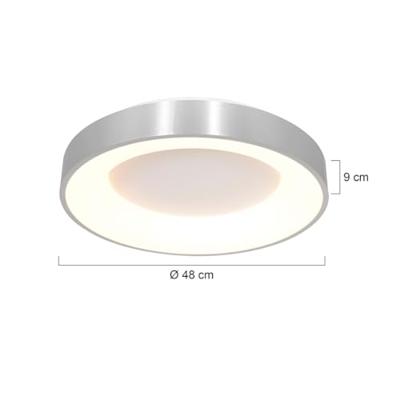 Steinhauer Led plafondlampRinglede Ø 48cm - 2563ZI