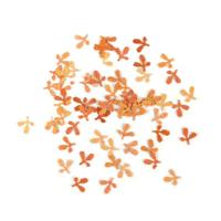 Torro 1/16 Accessories Leaves - thumbnail