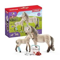 Schleich Horse Club Hannah Rescue Set met Merrie/Veulen/Accessoires - thumbnail