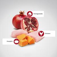 Farmina Pet Food 8010276033635 droogvoer voor hond 2,5 g Volwassen Kip - thumbnail