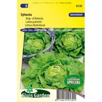 Kropsla zaden Sylvesta - thumbnail