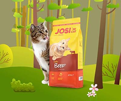 JosiCat Tasty Beef (1 x 10 kg), premium droogvoer voor volwassen katten, kattenvoer, powered by JOSERA, per stuk verpakt
