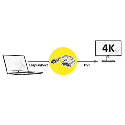 ROLINE GOLD 4K DP/DVI Adapter, Actief, v1.2, DP Male - DVI Female, Retail Blister ROLINE GOLD 4K DP/DVI Adapter, Actief, v1.2, DP Male - DVI Female, Retail Blister