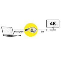 ROLINE GOLD 4K DP/DVI Adapter, Actief, v1.2, DP Male - DVI Female, Retail Blister - thumbnail