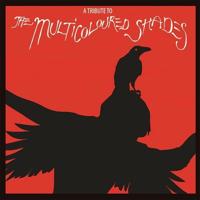 Tribute To The Multicoloured Shades - CD (4260182982037) - thumbnail