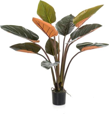 Philodendron plant h120cm groen Emerald - Emerald