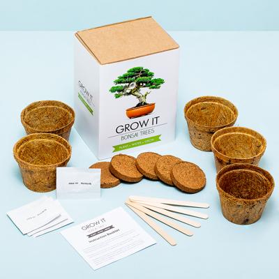 Gift Republic Bonsai Bomen Gift Republic Bonsai Bomen