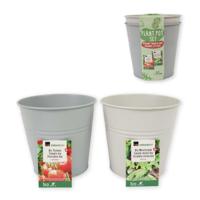 Kweekset Emmer Bio Tomaten en Sla - thumbnail