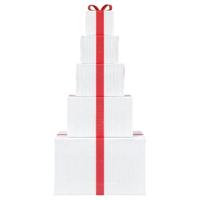 VidaXL Kerstdecoratie geschenkdoos 250 led&apos;s warm wit - thumbnail