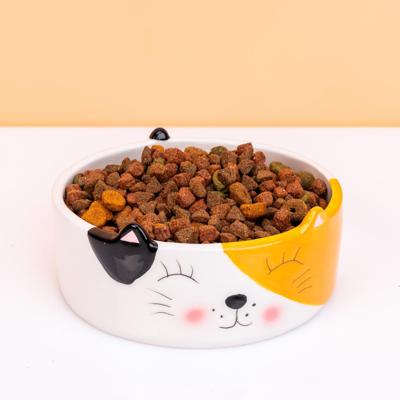 Kat voerbak met kattengezicht