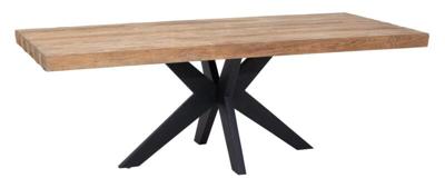 DTP Home Eettafel 'Newton' Teakhout, 220 x 100cm DTP Home Eettafel 'Newton' Teakhout, 220 x 100cm