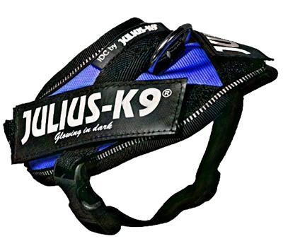 Julius-K9 IDC-Powertuig Baby 29-36cm blauw Julius-K9 IDC-Powertuig Baby 29-36cm blauw