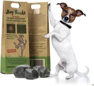 DOG ROCKS 200 GR DOG ROCKS 200 GR