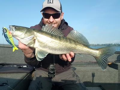 Rozemeijer Jerk & Swim 14cm 48Gr Speckled Blue Gill SBG