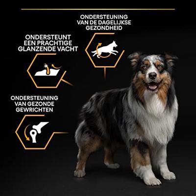PRO PLAN DOG ADULT MEDIUM KIP / RIJST - thumbnail