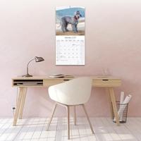 Bedlington Terrier Kalender 2026 - thumbnail
