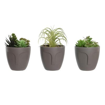 Decoratieve plant DKD Home Decor Grijs Beige Polyethyleen Groen Polypropyleen (11 x 11 x 15 cm) (3 Stuks) Decoratieve plant DKD Home Decor Grijs Beige Polyethyleen Groen Polypropyleen (11 x 11 x 15 cm) (3 Stuks)