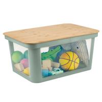Rotho PINA Opbergbox met Deksel 45L Sage Green/Bamboe/Transparant - thumbnail