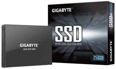 GIGABYTE   GP-GSTFS30256GTTD - Solid state drive - 256 GB - intern -
