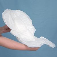 Id Exeprt Form Maxi 21 - thumbnail