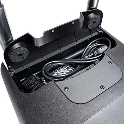LD Systems ROADBUDDY 10 draadloze mobiele accu luidspreker 863 - 865 MHz - thumbnail