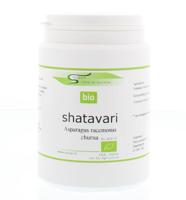 Surya Shatavari churna bio 100 Gram - thumbnail