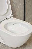 Ben Puro hangtoilet Xtra glaze+ Free flush inclusief zitting wit - thumbnail