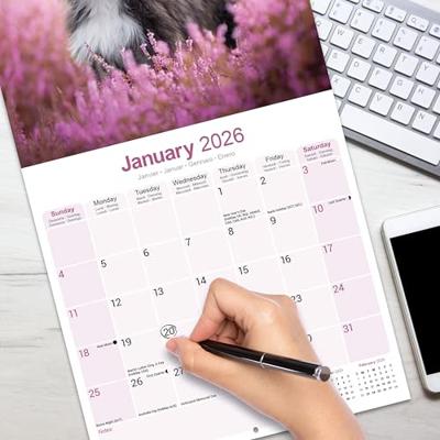 Bearded Collie Kalender 2026 Bearded Collie Kalender 2026