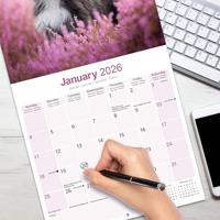 Bearded Collie Kalender 2026 - thumbnail