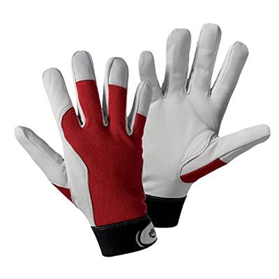 Leipold Doehle 1706-11 Montagehandschoen Geiten nappaleer Maat (handschoen): 11, XXL EN 388:2016 Cat II 1 paar