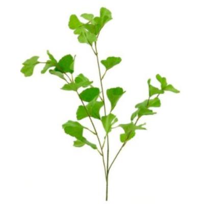Gingko spray groen 90cm Gingko spray groen 90cm