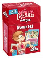 Menselijk Lichaam Kwartet - thumbnail