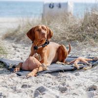 Trixie be nordic hondenligmat fohr zwart 70x55 cm - thumbnail
