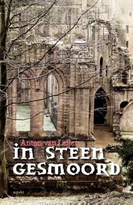 In steen gesmoord - Anton van Leijen - Paperback (9789463381420)