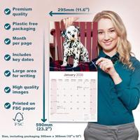 Dalmatier Kalender 2026 - thumbnail