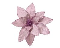 Poinsettia pesfluweel d30h15 cm lila Everlands - Everlands - thumbnail