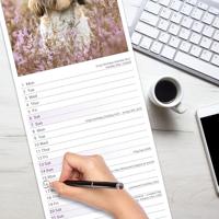Shih Tzu Slim Calendar 2026 Dog Breed Slimline Calendar - 12 Month - thumbnail