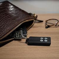 SCS SENTINEL universele radio-ontvangerkit - 12/24V - Met 2 afstandsbedieningen, grijze knoppen - RadioGate Kit - thumbnail