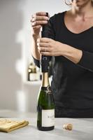 PEUGEOT - Wijnaccessoires - Wijnpomp Preserve Duo - thumbnail