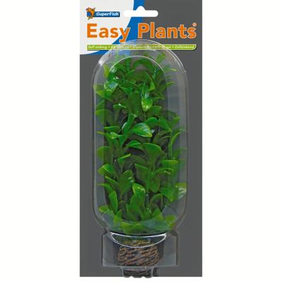 Easy plants middel 20cm nr. 2