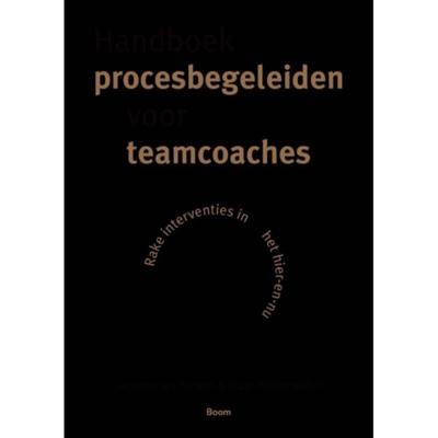 Handboek procesbegeleiden voor teamcoaches (Paperback)