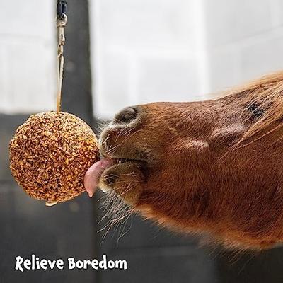 Likit Appel Bal Granola - thumbnail