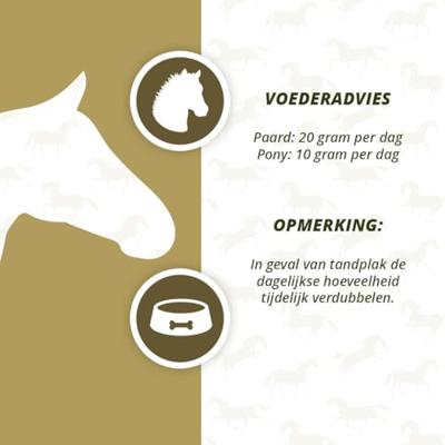 Excellent Horse Dental Care 1 kg