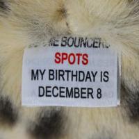 TY Beanie Bouncers Knuffel Luipaard Spots - thumbnail