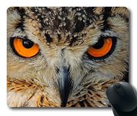 Gaubert Onderjurk / Slipdress - Spaghetti bandjes - Kanten gladde onderjurk - Wit - Zwart - Huidskleur - Kant - thumbnail